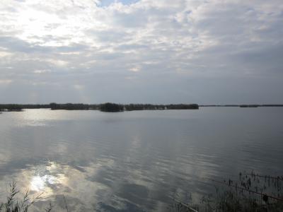 Прикрепленное изображение: IMG_0359.JPG